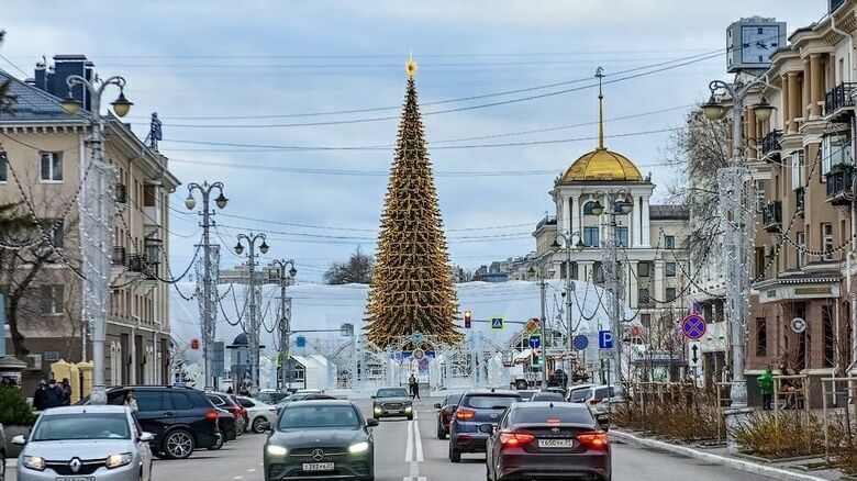 Белгородка предложила вместо большой ёлки сделать «народное дерево»