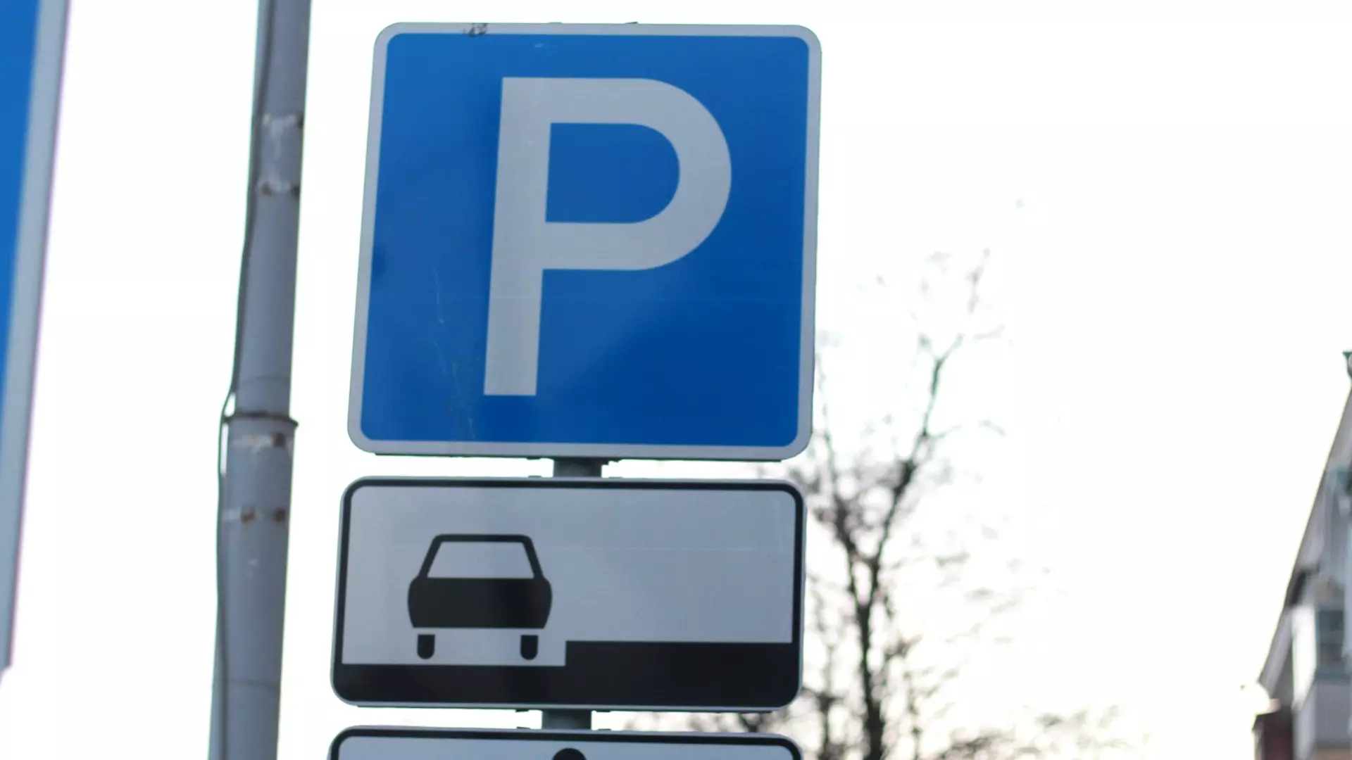 Чиновники и белгородцы пока не могут решить вопрос с проблемной парковкой
