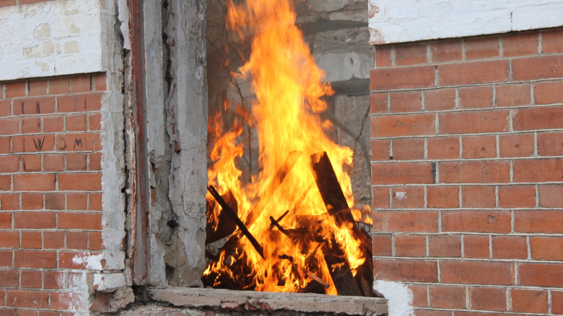 В Сети распространяют фейк о сожжённых документах в Шебекино