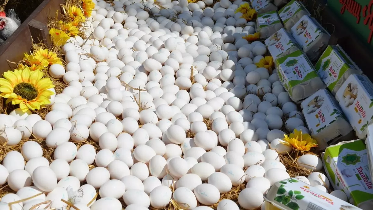 В Белгородской области цены на яйца за год выросли на 8%