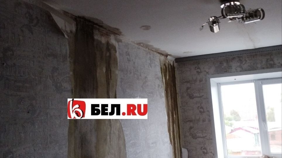 Белгородцы пожаловались на затопленные квартиры из-за продолжительного ремонта кровли