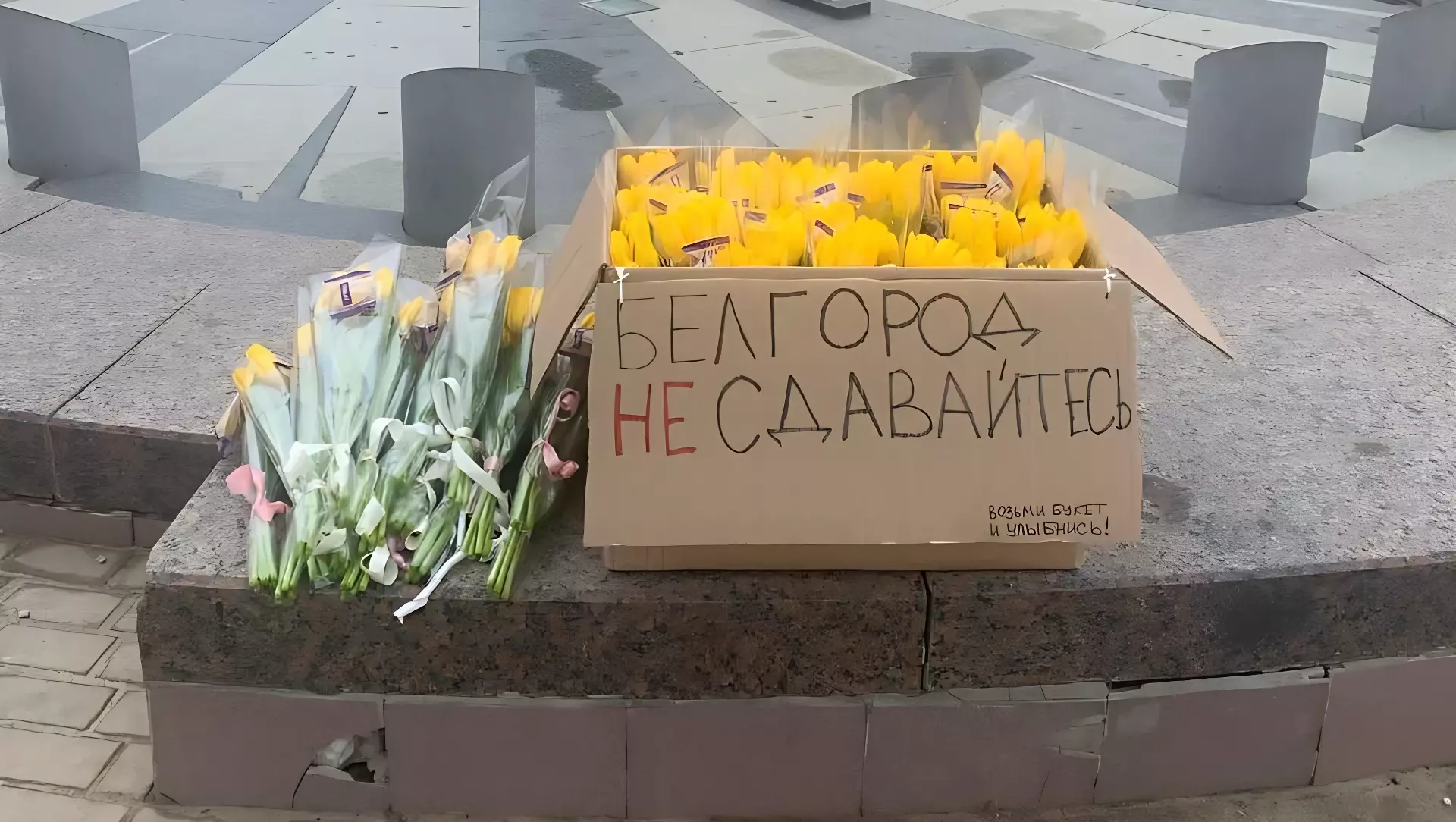 В центре Белгорода заметили коробку с бесплатными тюльпанами в поддержку людей
