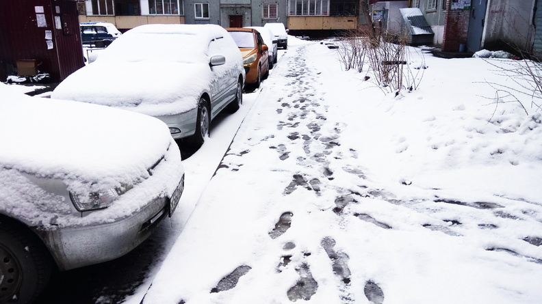 МЧС предупредило о мокром снеге и сильном ветре в Белгородской области