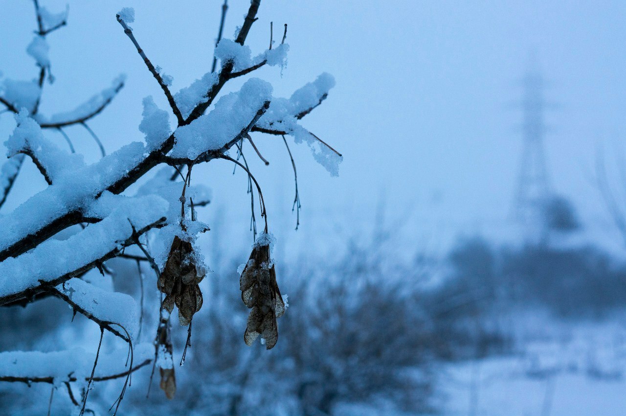Снег, мороз и порывистый ветер прогнозируют в Белгороде на воскресенье