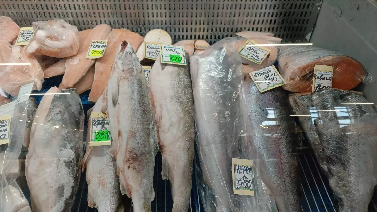 Цены на рыбу, «Южная Ярмарка»