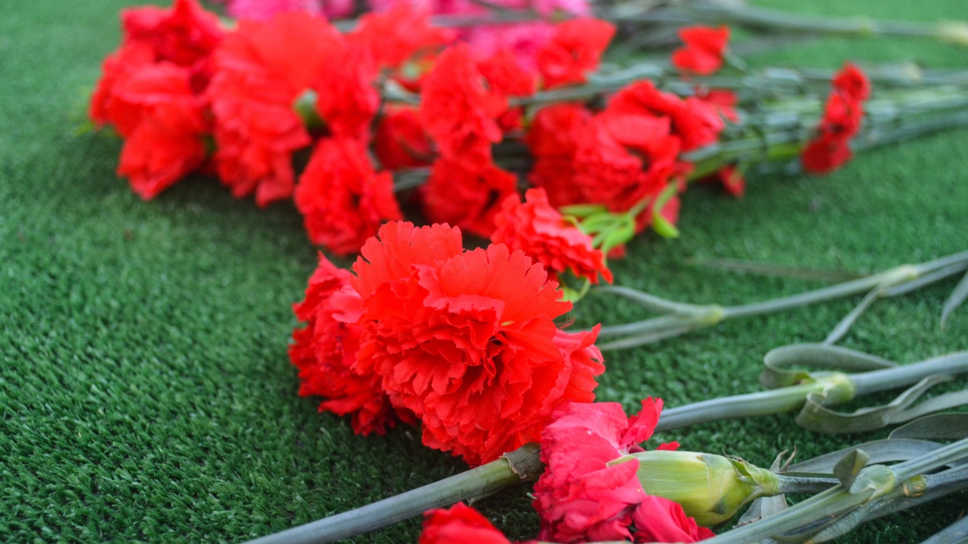 В День ВДВ в Белгородской области возложили цветы к памятнику участникам СВО