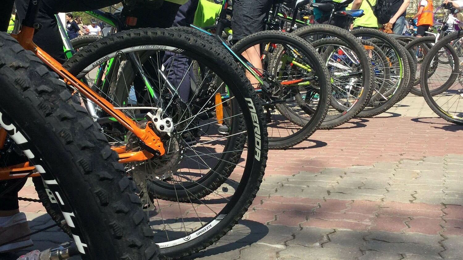 В Белгороде впервые провели соревнования велосипедистов на памп-треке