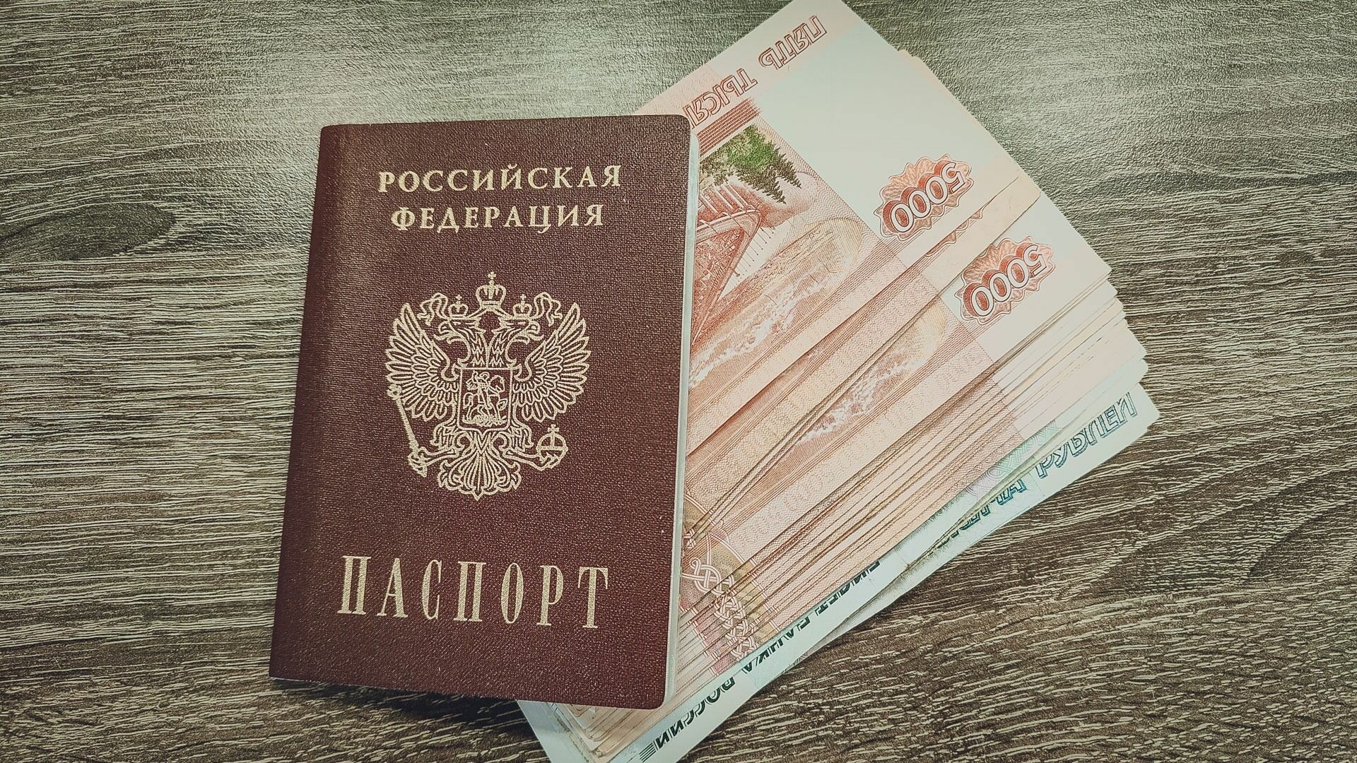 В России могут создать социальные паспорта семей мобилизованных