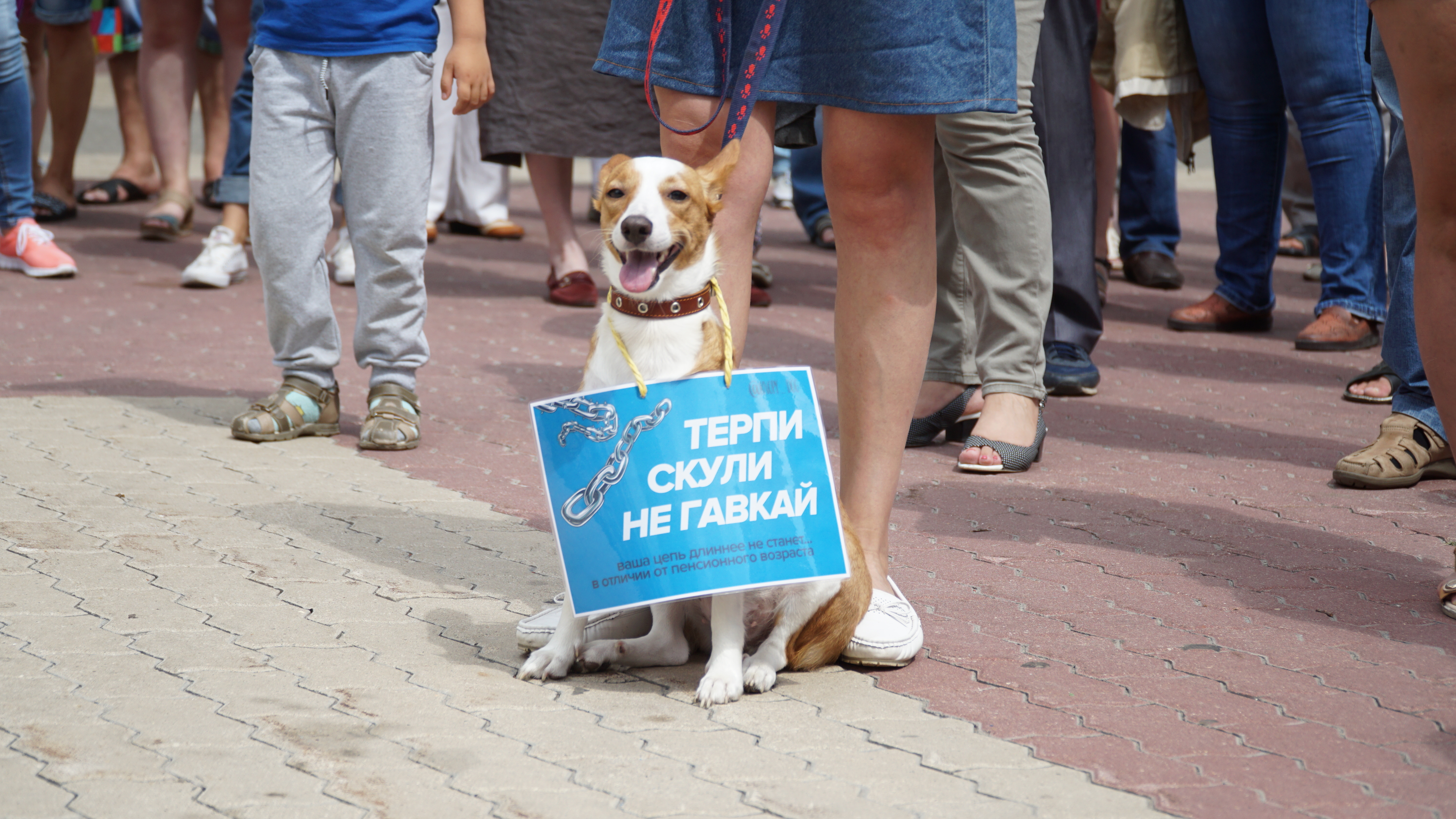 В Белгороде прошёл третий митинг против повышения пенсионного возраста