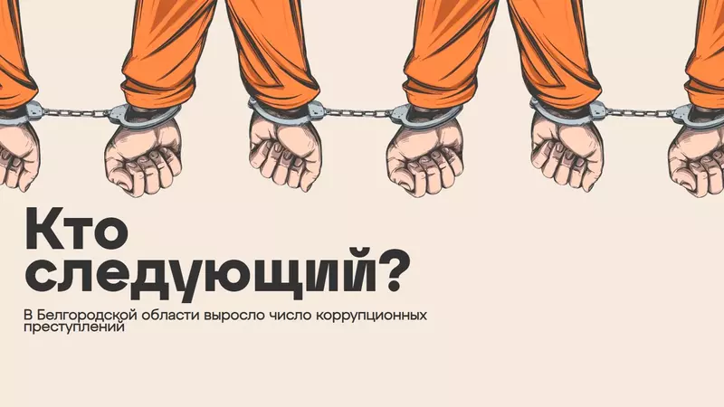 Кто следующий? В Белгородской области выросло число коррупционных преступлений