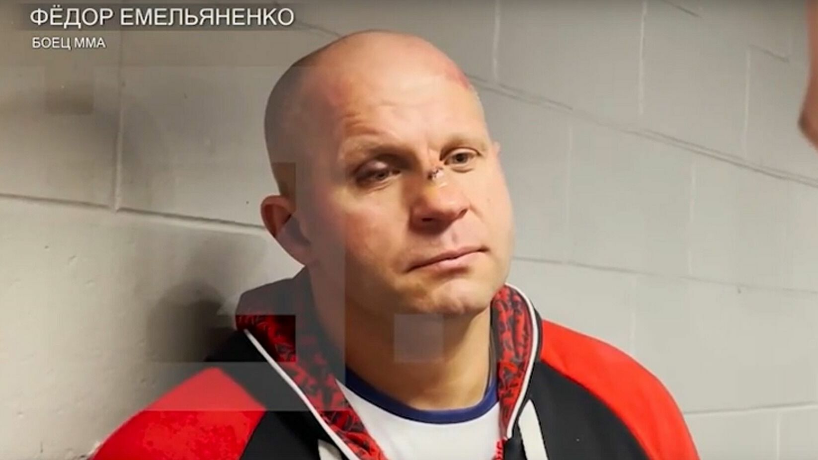Фёдор Емельяненко прокомментировал свой финальный бой