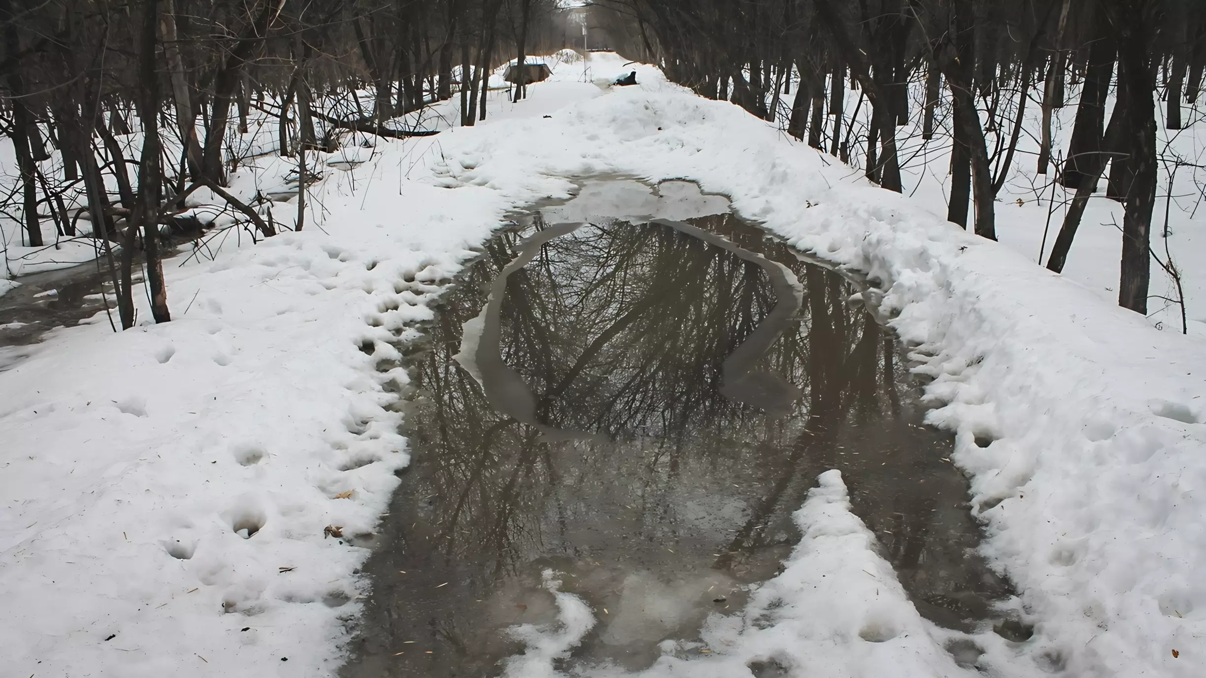 Жители Белгорода и Старого Оскола оставили больше всего жалоб на уборку снега