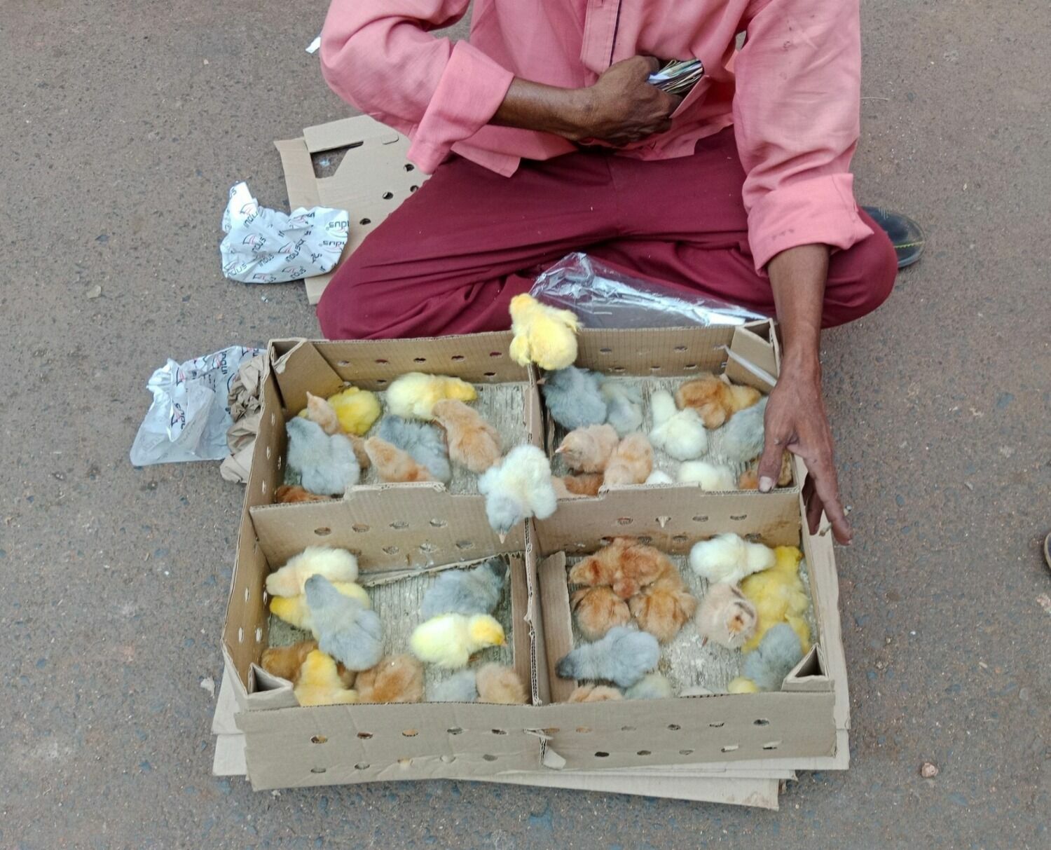 еда в Индии