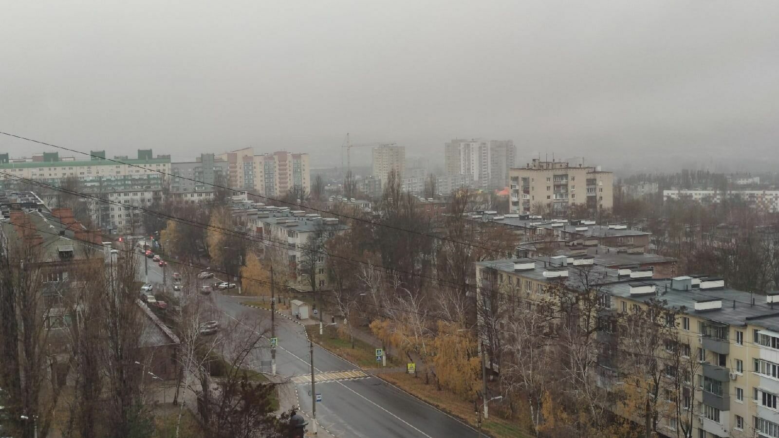 Попытка номер два: в Белгородской области ожидают мокрый снег