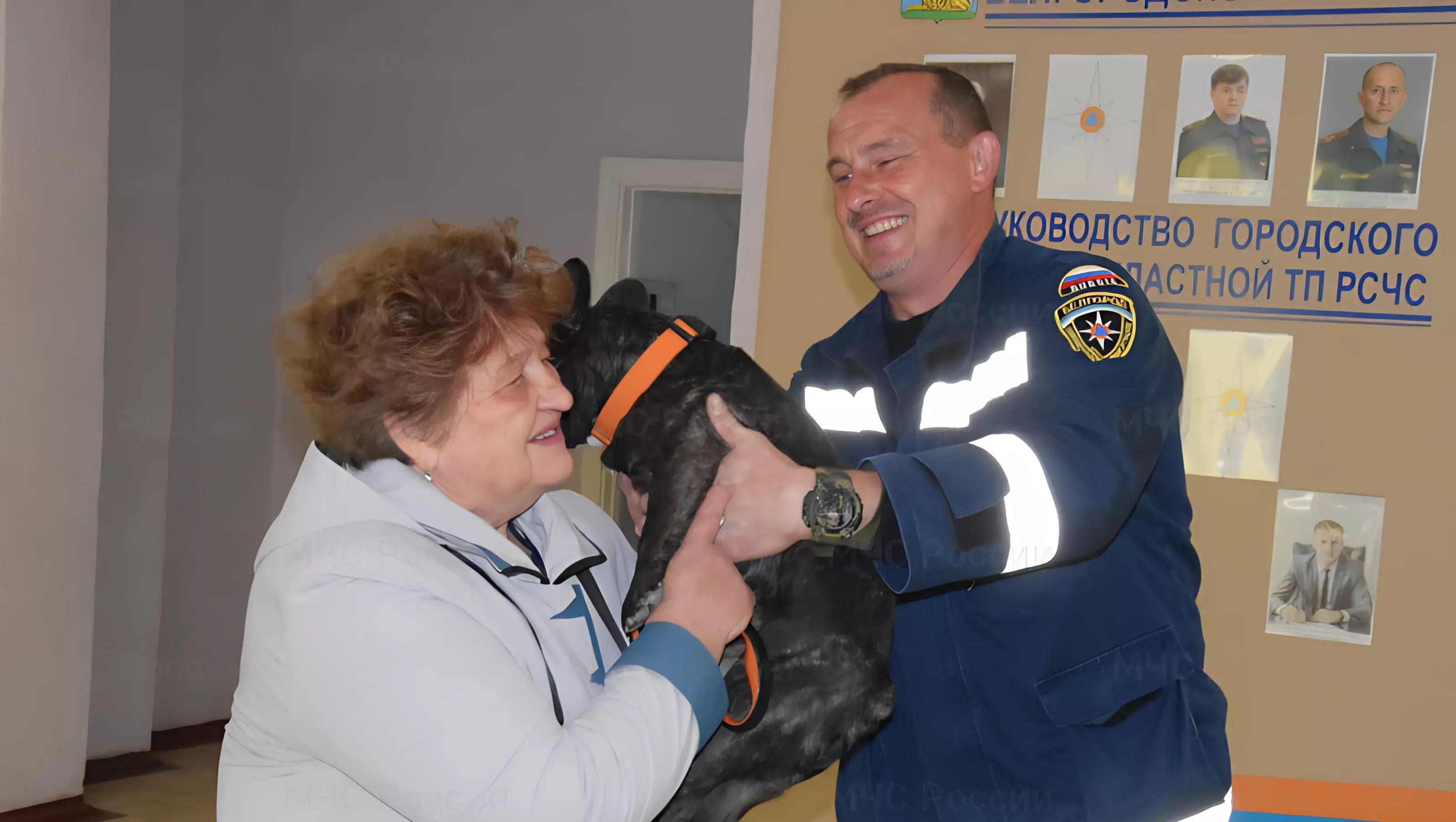 Спасённую в Белгороде собаку передали хозяйке