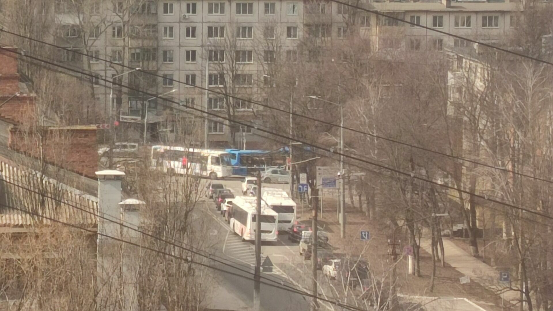 В Белгороде на улице Щорса столкнулись автобус и легковушка