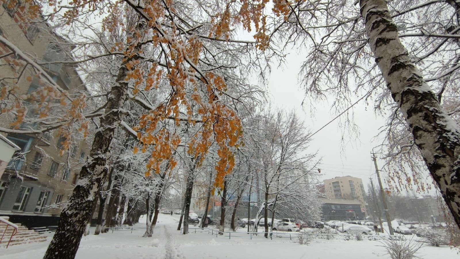 В Белгородскую область вернутся снег и небольшой мороз