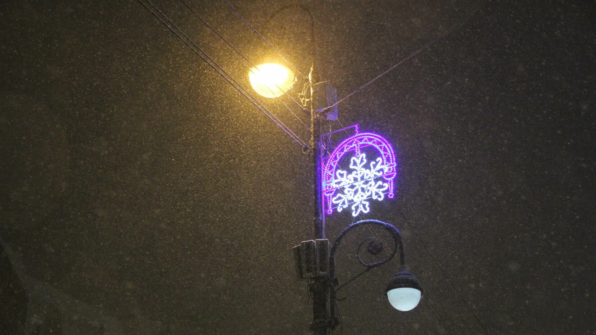 Метель и снежные заносы ожидают белгородцев 14 февраля