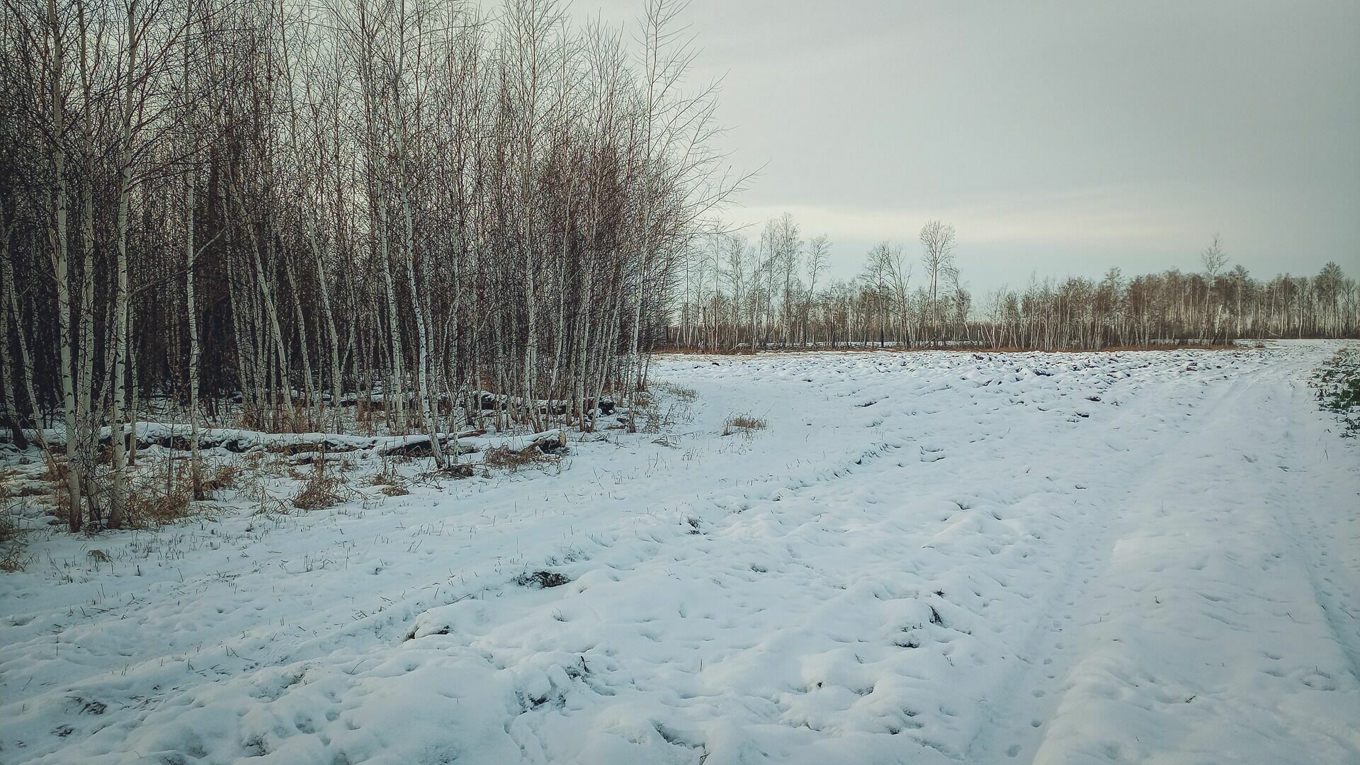 Мокрый снег и ветер ожидают белгородцев в первый день весны