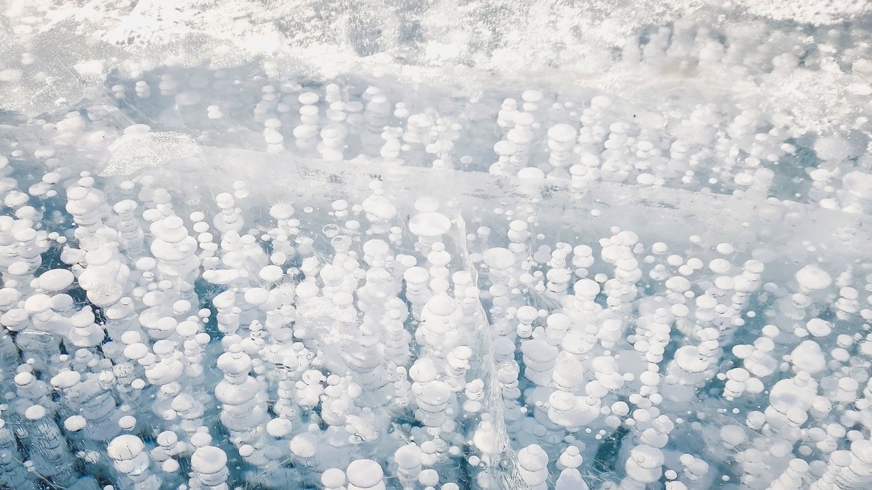 Призеры «Билета в Арктику» примут участие в научной экспедиции