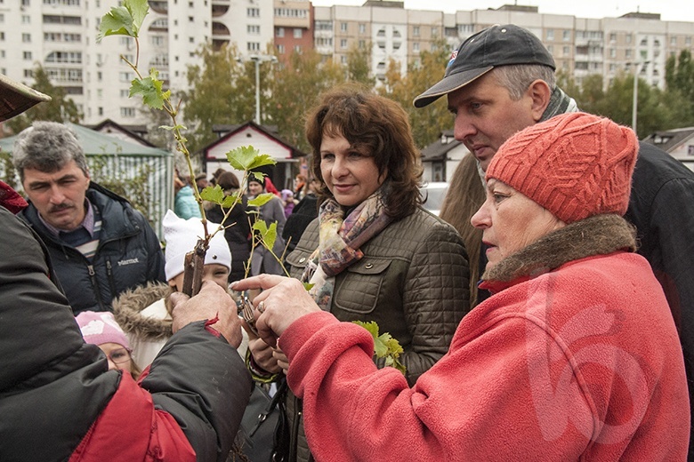 Ярмарка фермерского урожая «Дары осени» открылась в Белгороде