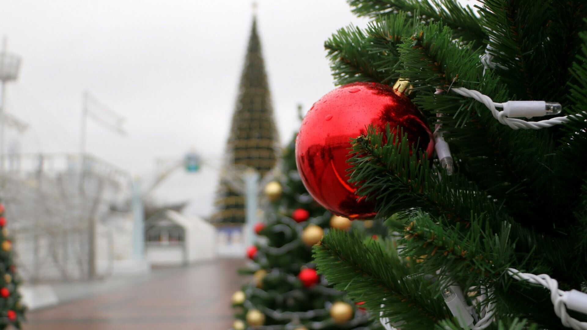 Вячеславу Гладкову предложили вывезти детей из опасных районов на новогоднюю ёлку