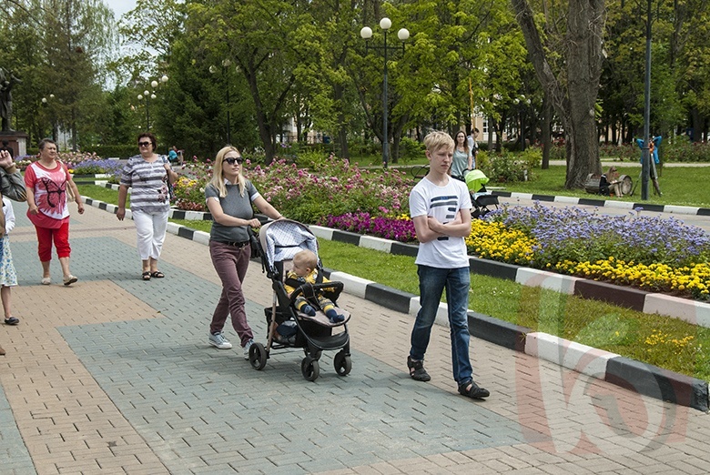 Парк Победы в центре Белгорода высыхает  