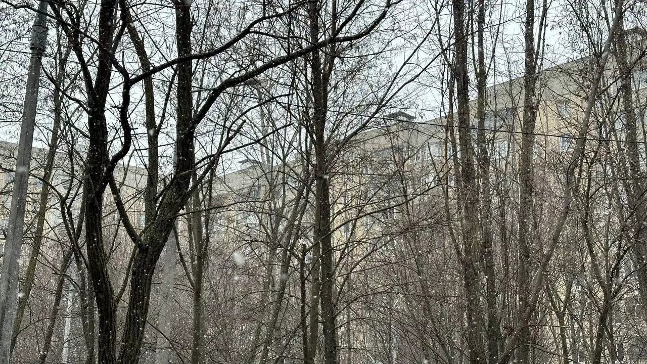 В Белгороде прошёл снег