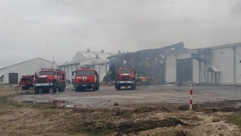 Один человек пострадал при пожаре на птицеферме «Мираторг» в Брянской области