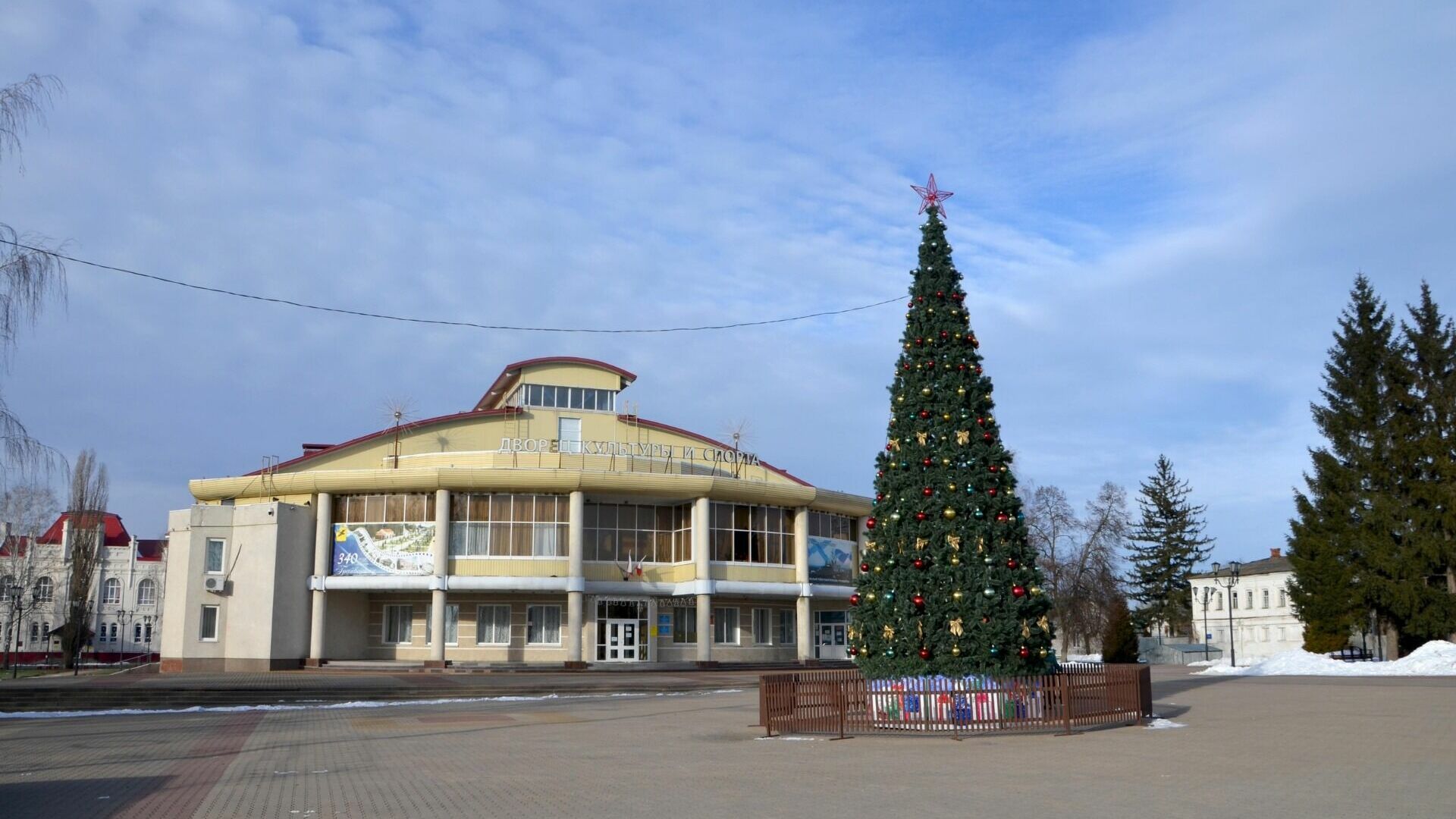 Выбираем самую красивую ёлку Белгородской области: первая тройка
