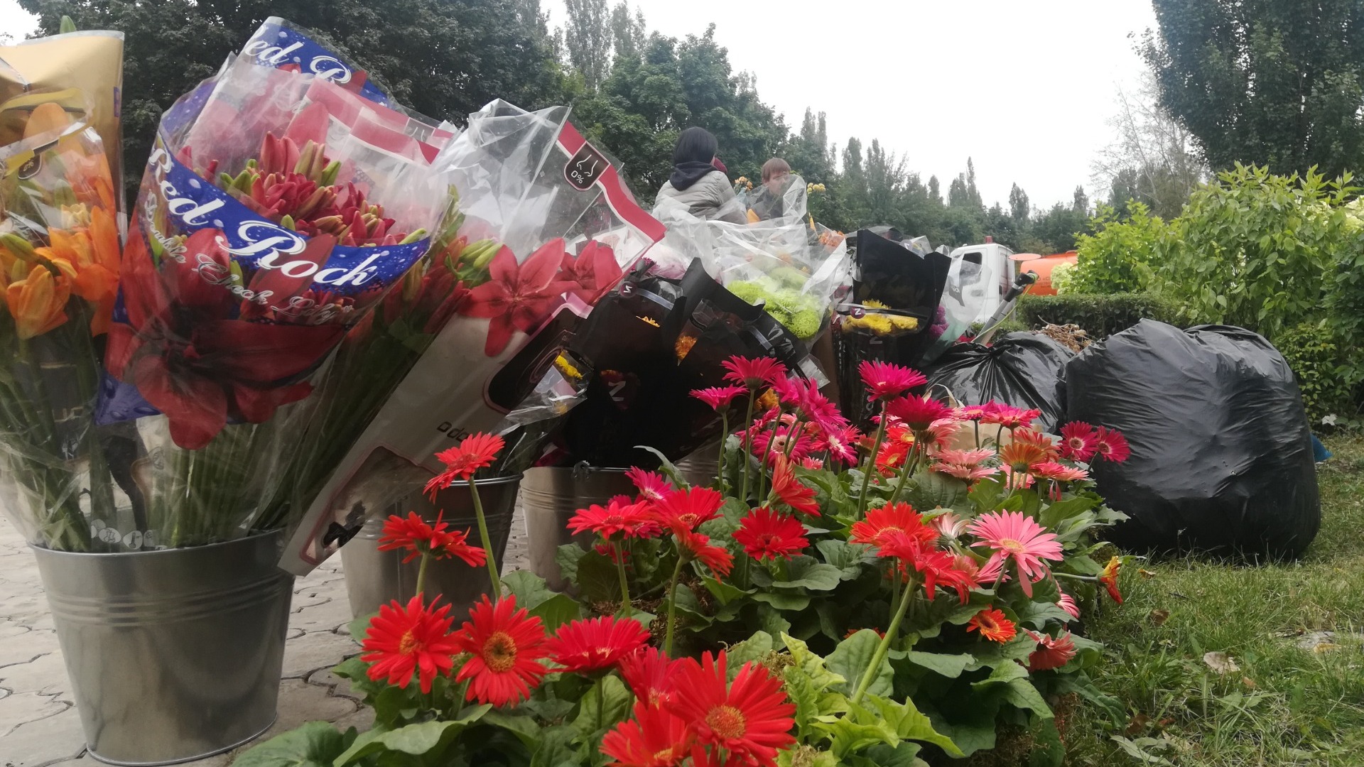 На фестиваль цветов и садоводства в Старом Осколе потратят 10 млн рублей
