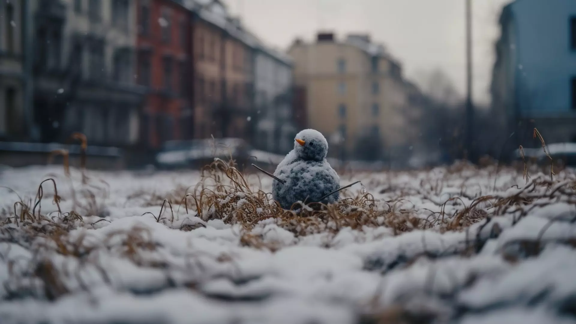 В Белгородской области похолодает до -18°С
