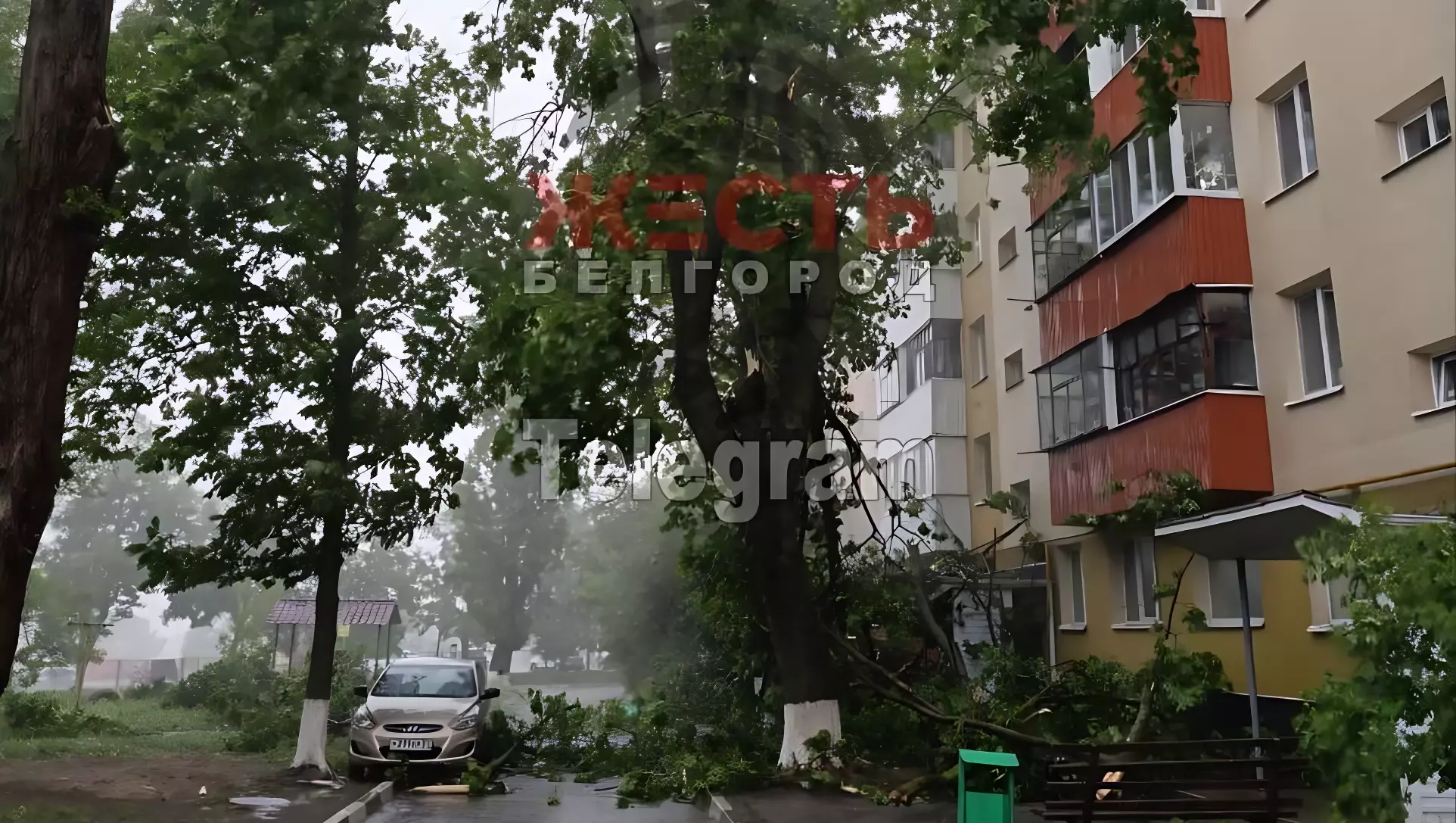 Последствия сильного ветра в Белгороде