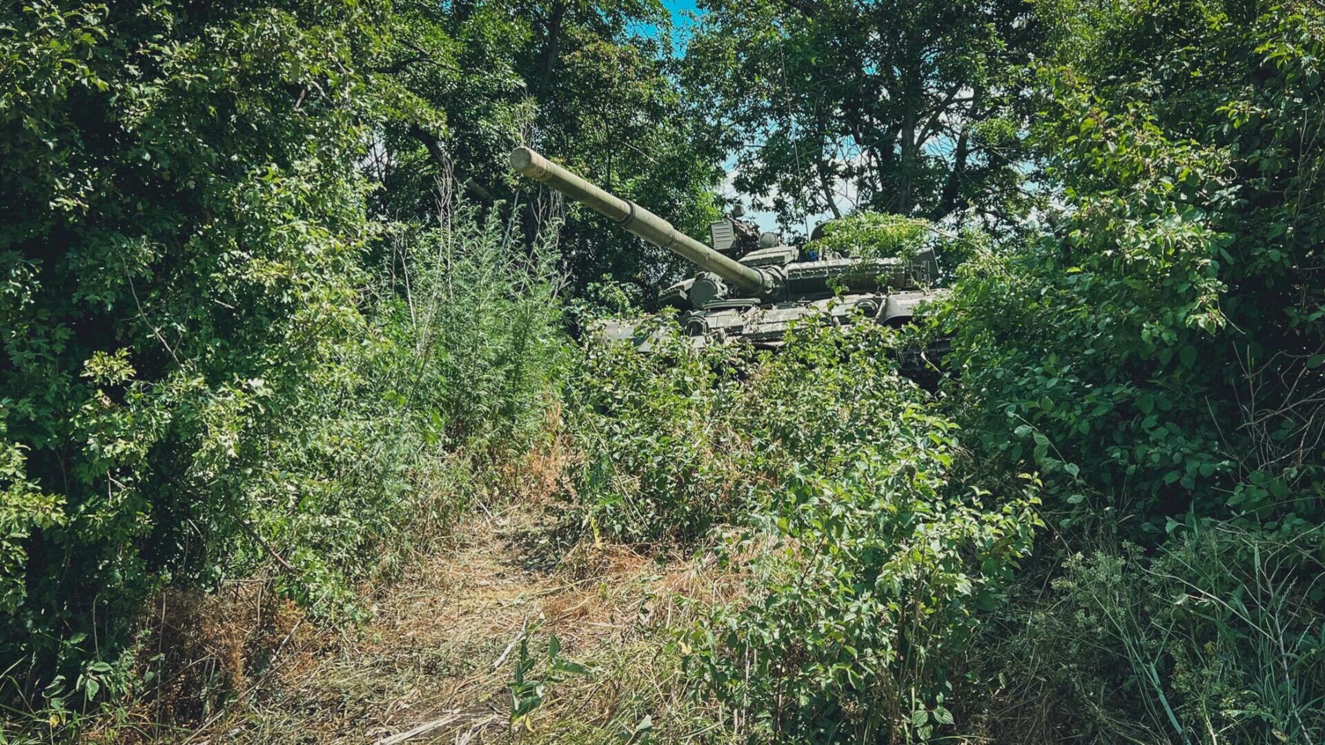 В Белгородской области попробуют вытащить затонувший во время ВОВ танк Т-34