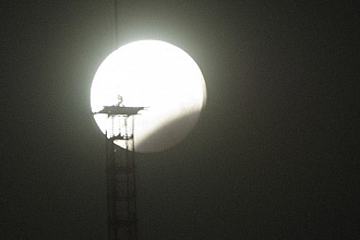 Лунное затмение в Белгороде: тень Земли «поглотила» часть своего спутника