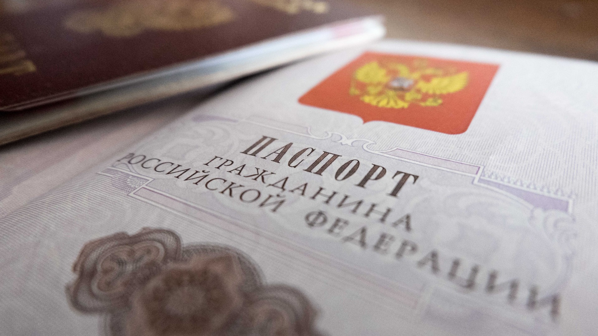 Женщине с видом на жительство Украины поставят российскую регистрацию в Белгороде