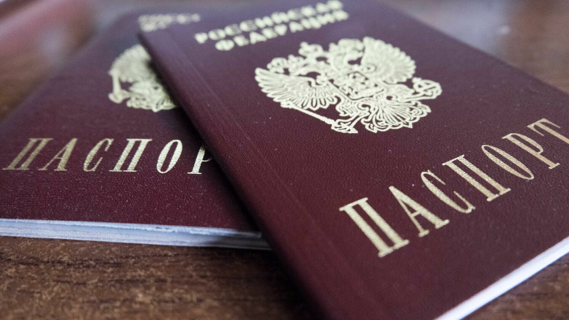 В 2022 году белгородцы не отказывались от российского гражданства
