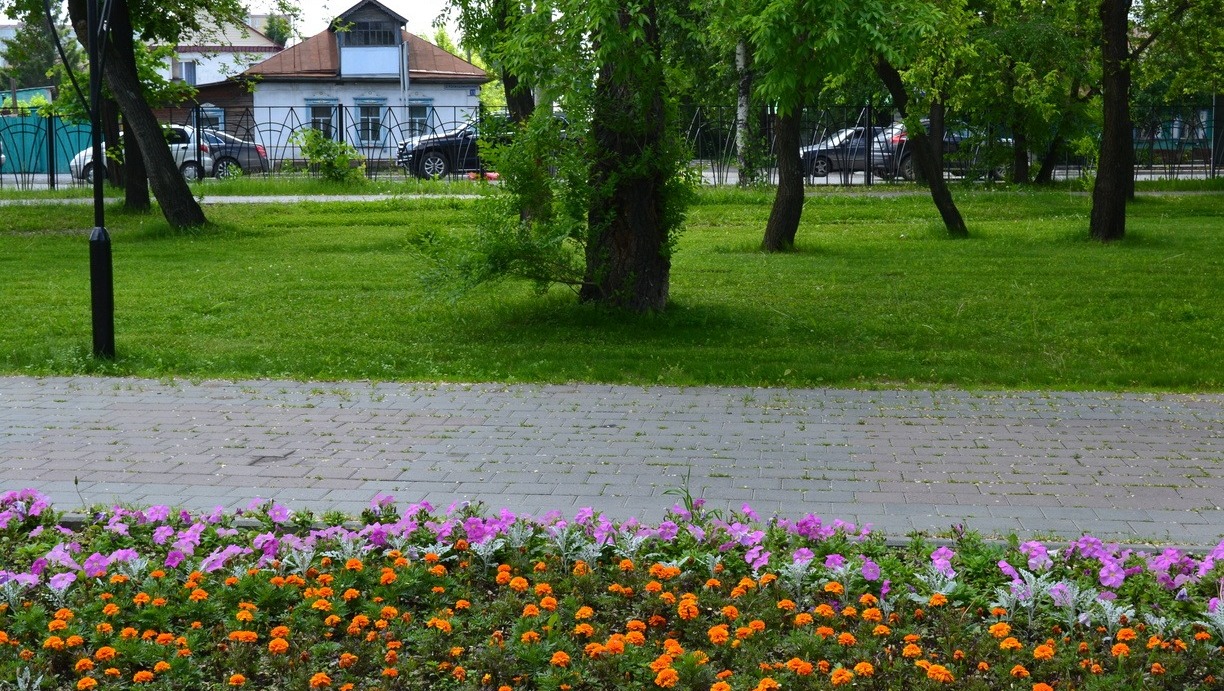 Клумбы Белгорода пытаются привести в порядок после цветения тюльпанов