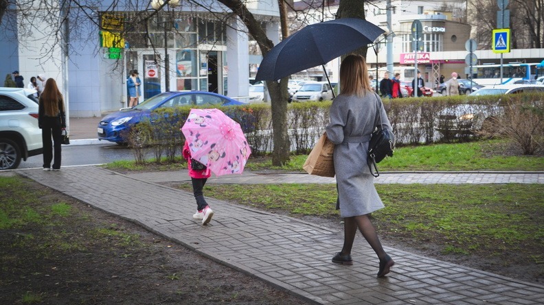 Рабочая неделя в Белгородской области начнётся с жары и небольших дождей