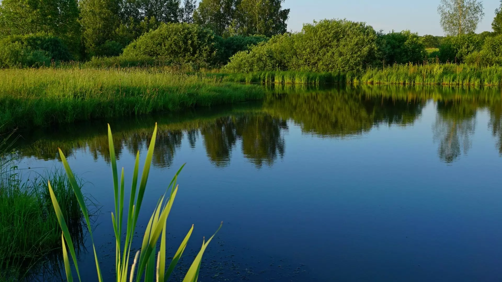 Гладков объявил о старте работ по очистке рек и водоёмов в Белгородской области