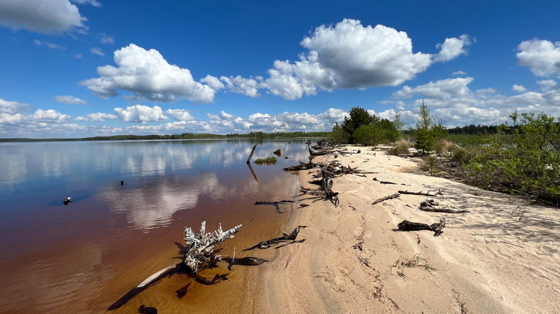 В Белгородской области займутся восстановлением рек Оскол, Сейм и Псёл