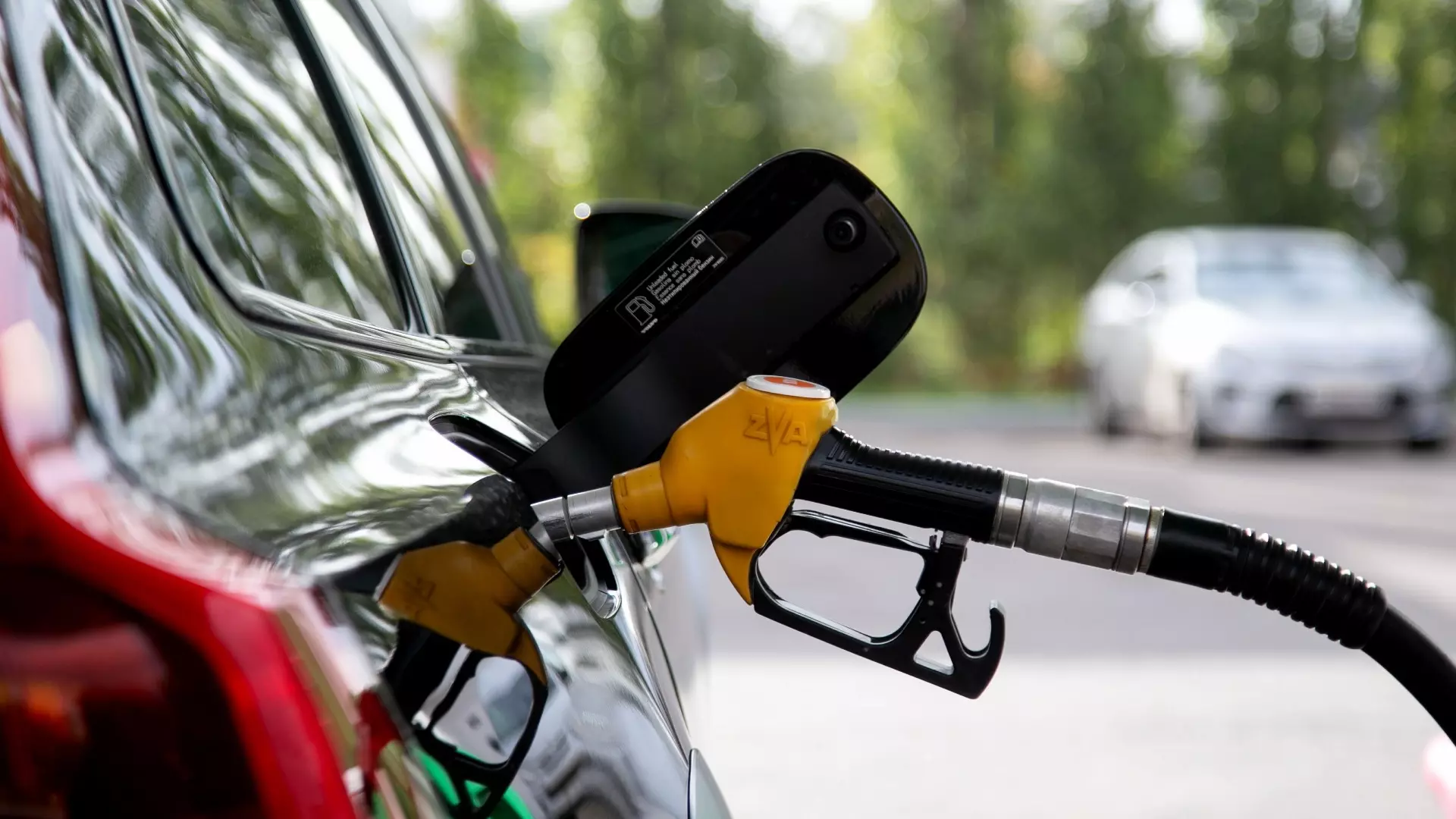 Росстат опубликовал данные о ценах на топливо в Белгородской области