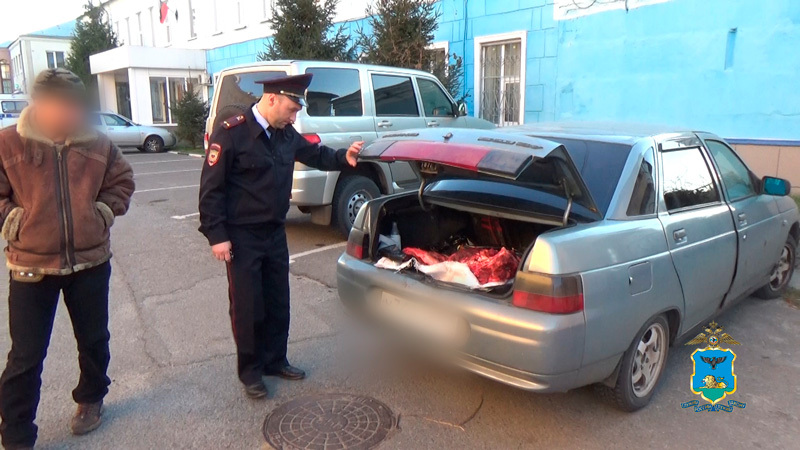 Инспекторы ДПС нашли в багажнике у белгородца тушу убитого оленя