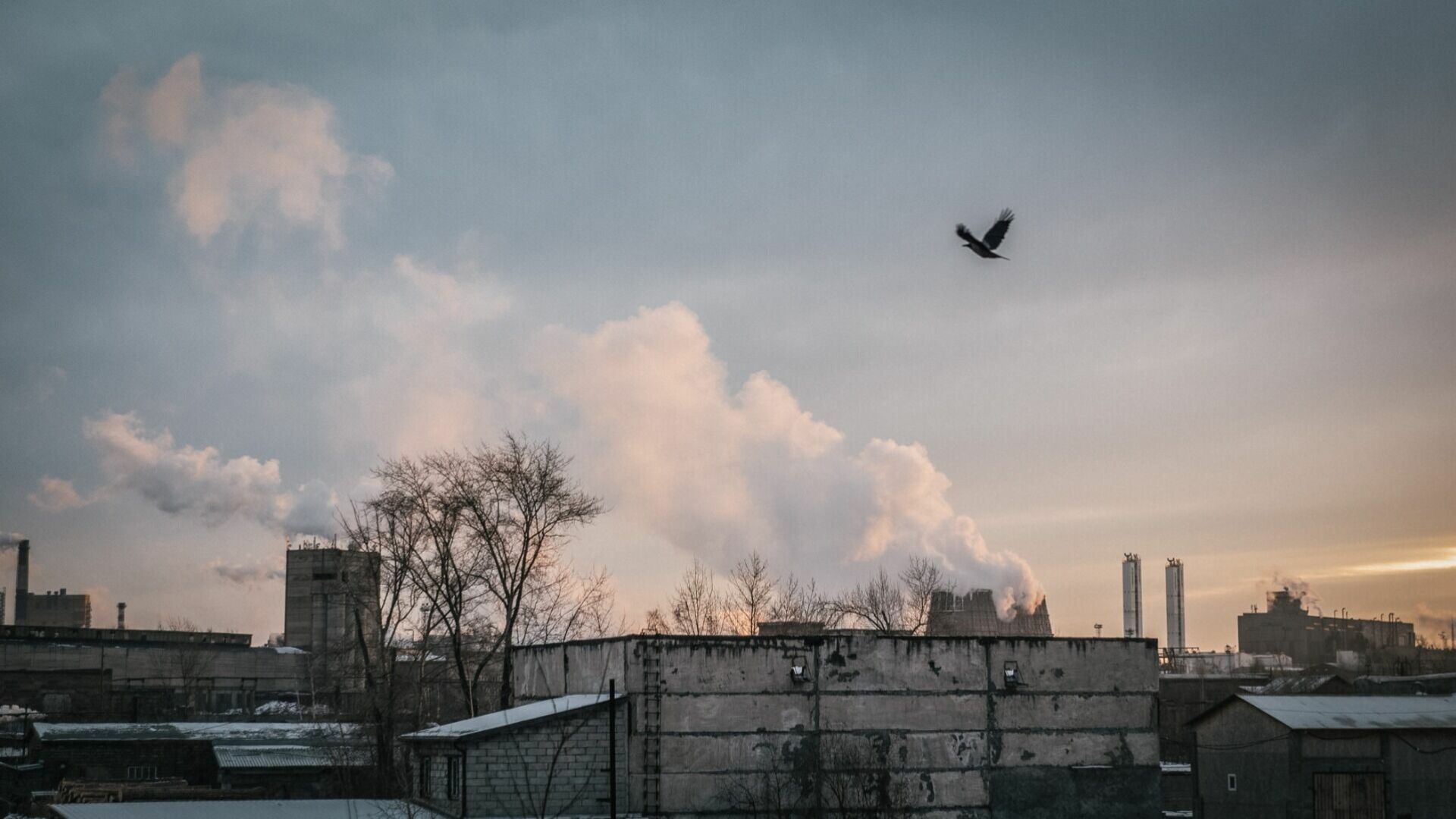Белгород не вошёл в число российских городов с самым чистым воздухом